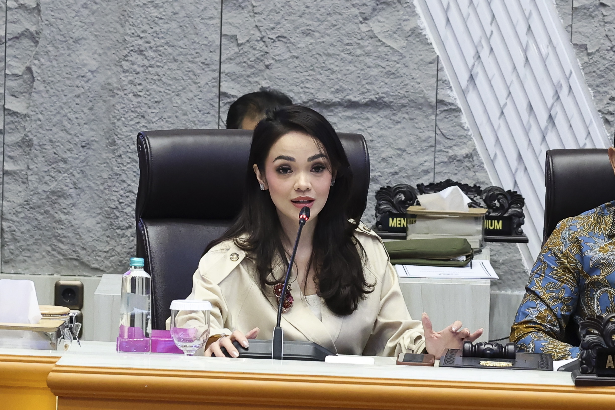Anggota Komisi I DPR RI, Andina Narang